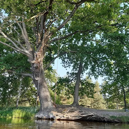 Ferienhaeuser Im Sternenpark Apartment Lochow