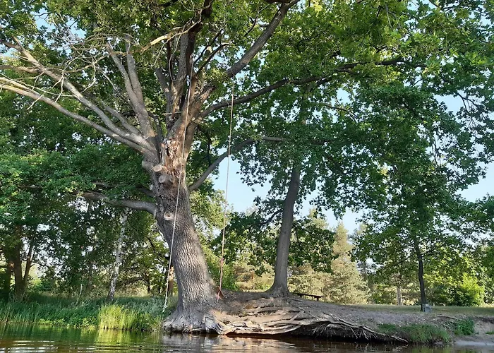 Ferienhaeuser Im Sternenpark Daire Lochow